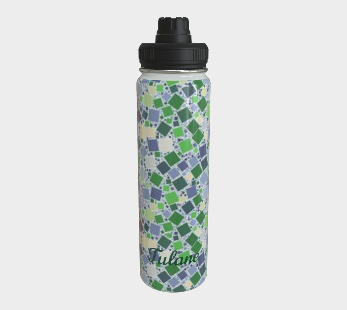 Tulane Water Bottle 2